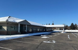 Plus de détails pour 6251 N 110th Ave, Champlin, MN - Local commercial à vendre