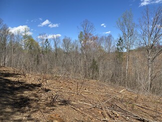 Plus de détails pour Skeen View Rd, Asheboro, NC - Terrain à vendre