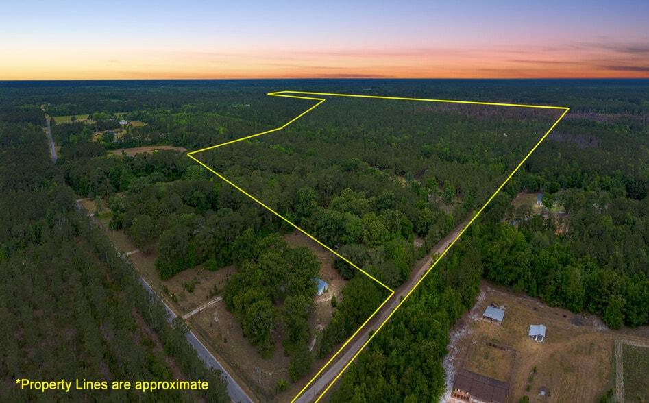 00 Rice Rd, Ridgeville, SC à vendre - Plan de site – Image 1 sur 11