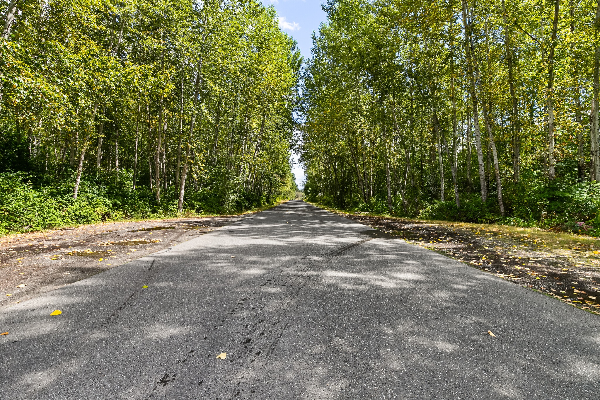 115-155 Tremont Ave, Bellingham, WA à vendre Photo principale– Image 1 sur 32