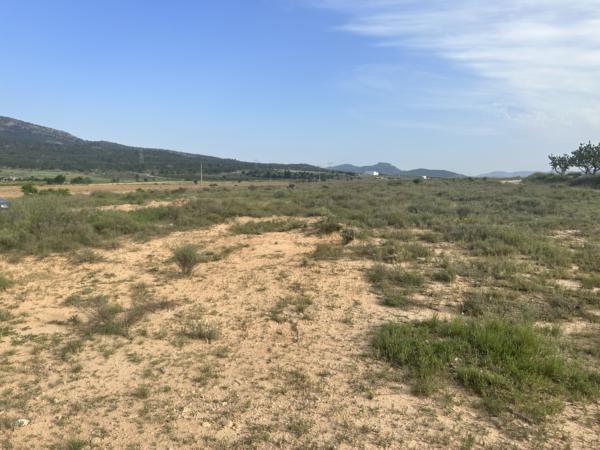 Terrain dans Salinas, Alicante à vendre - Plan de site – Image 1 sur 6