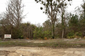 Plus de détails pour Us-17, Richmond Hill, GA - Terrain à vendre