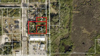 Plus de détails pour Alternate US-19 North, Tarpon Springs, FL - Terrain à vendre