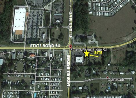 34540 State Road 54, Zephyrhills, FL à louer Photo principale– Image 1 sur 7