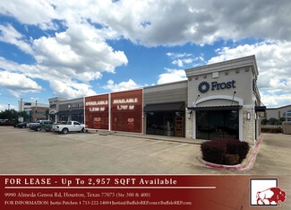 Plus de détails pour 9990 Almeda Genoa Rd, Houston, TX - Local commercial à louer
