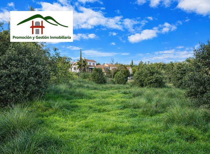 Avenida Marsil, 97, Las Rozas de Madrid, Madrid à vendre - Photo de l’immeuble – Image 2 sur 5