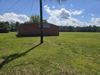Plus de détails pour 24911 NC Hwy 210, Currie, NC - Terrain à vendre