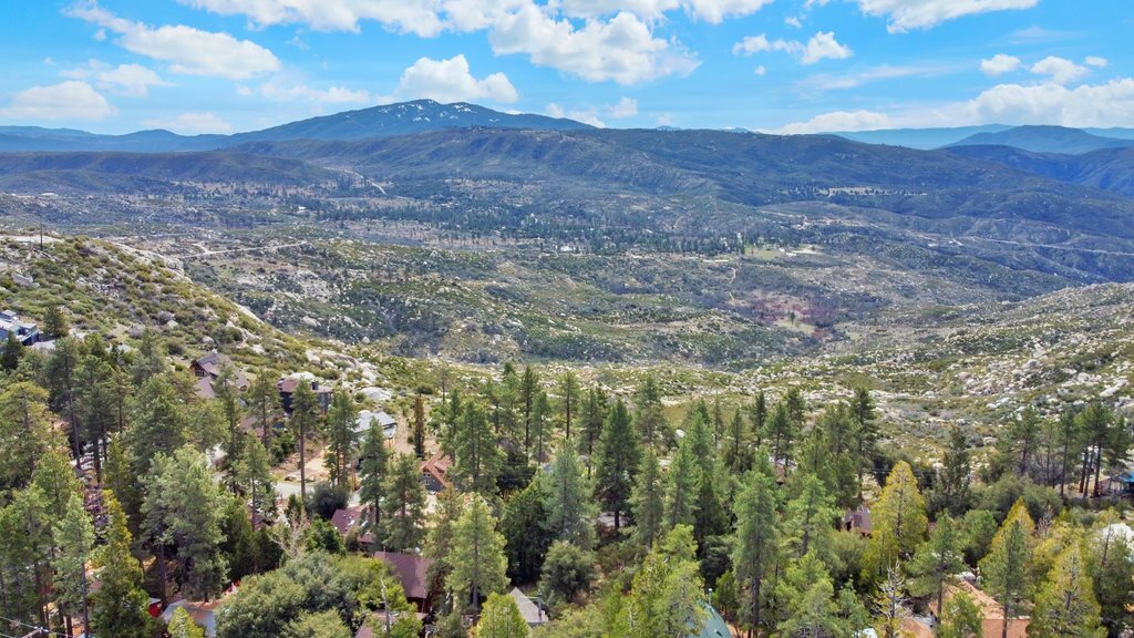 0 Deer Foot Ln, Idyllwild, CA à vendre Photo principale– Image 1 sur 13