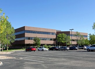Plus de détails pour 13111 E Briarwood Ave, Centennial, CO - Médical à louer