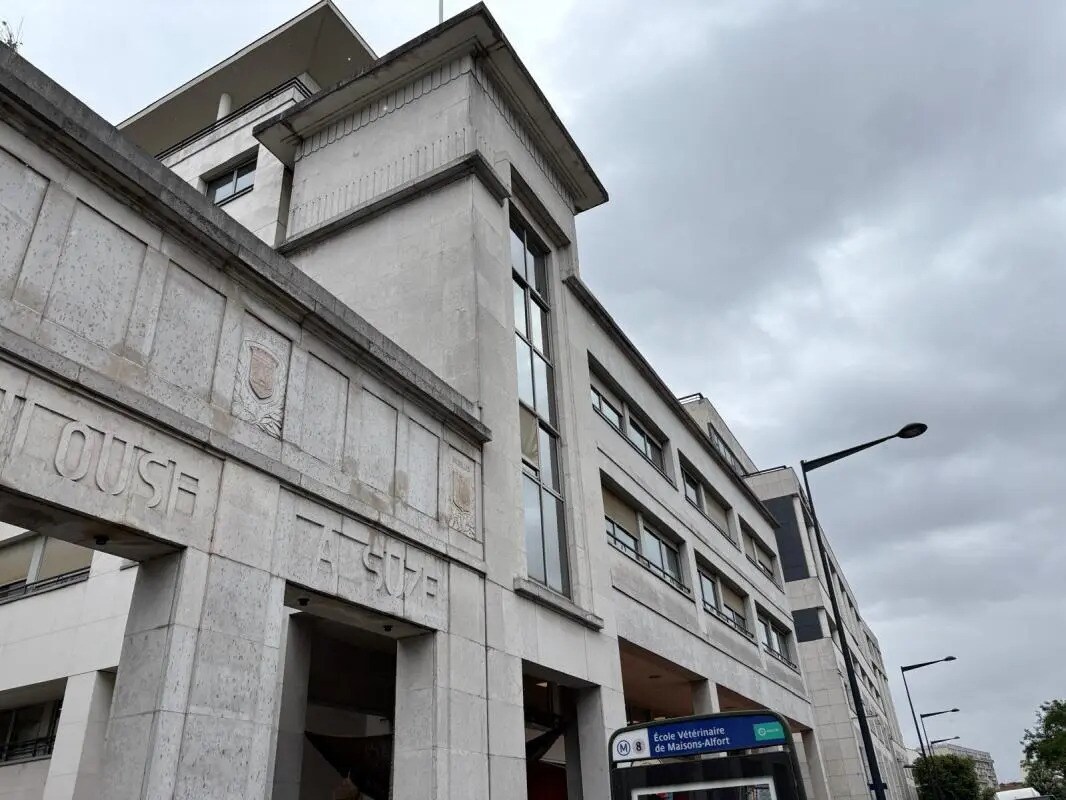 Bureau dans Maisons-Alfort à louer Photo de l’immeuble– Image 1 sur 6