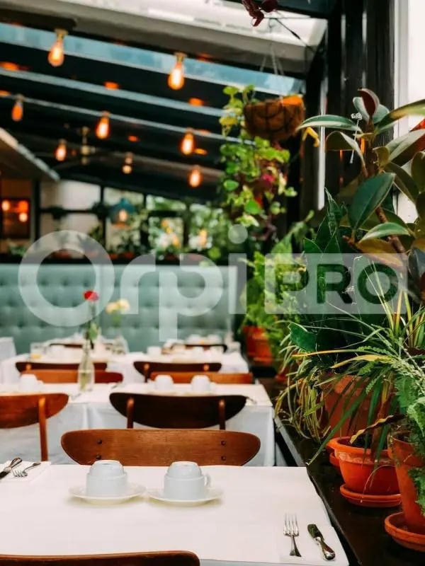 Local commercial dans Capbreton à louer Photo de l’immeuble– Image 1 sur 5