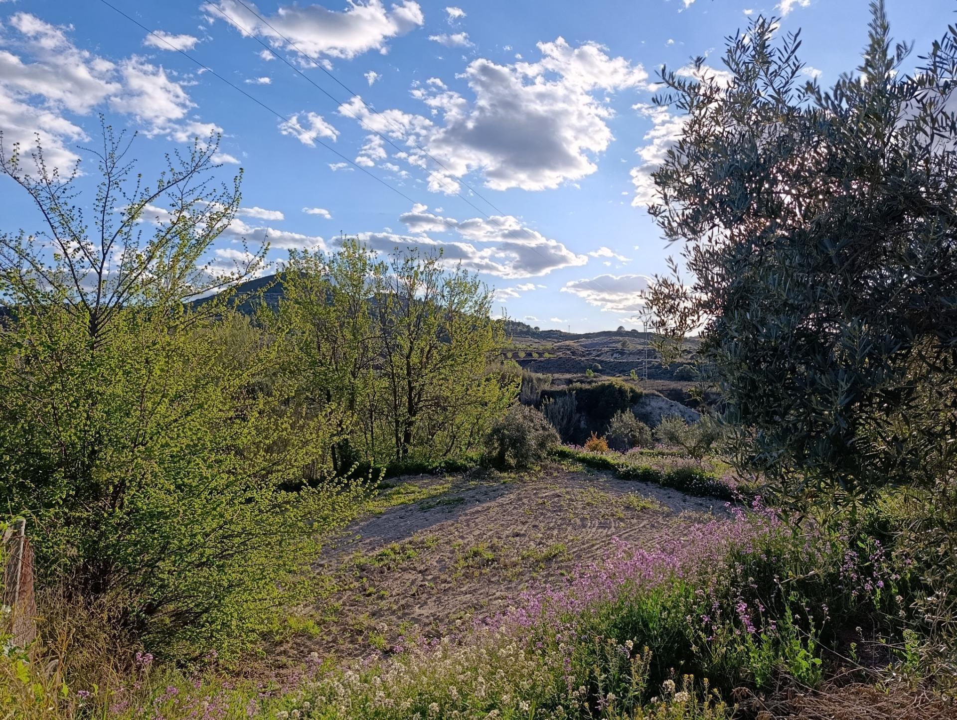 Terrain dans Cehegín, Murcia à vendre Photo de l’immeuble– Image 1 sur 7