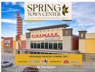 Plus de détails pour 21210 Kuykendahl Rd, Spring, TX - Local commercial à louer