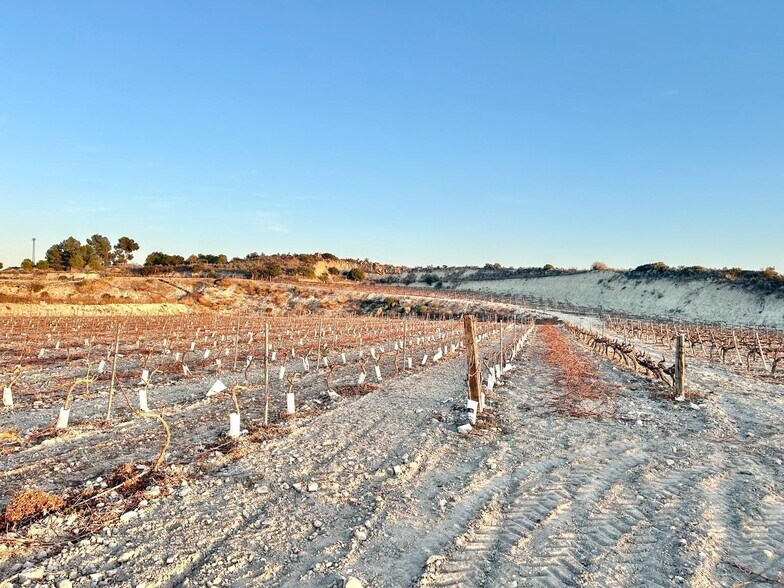 Terrain dans Novelda, Alicante à vendre - Photo de l’immeuble – Image 2 sur 7