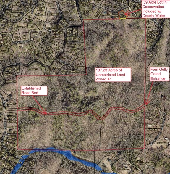 0 Fern Gully Way, Ellijay, GA à vendre - Photo principale – Image 1 sur 31