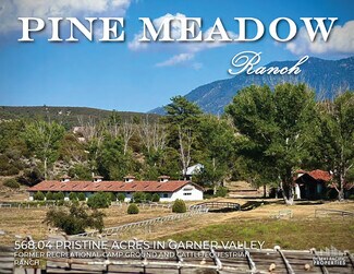 Plus de détails pour 61250 CA-74, Mountain Center, CA - Terrain à vendre