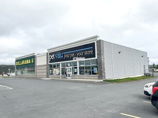 Plus de détails pour 99 Powell Dr, Carbonear, NL - Local commercial à vendre