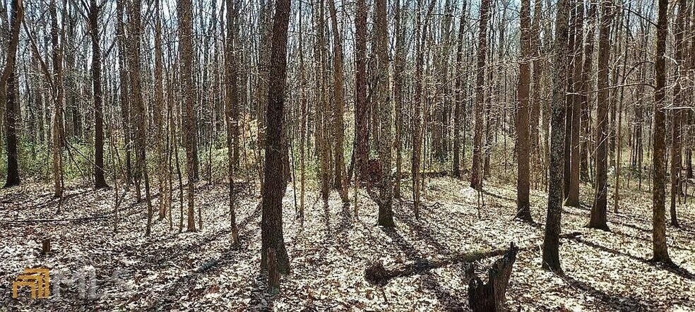 Davis Academy Road, Rutledge, GA à louer - Autre – Image 3 sur 3