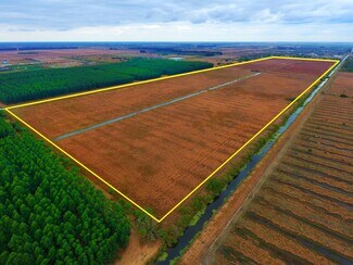 Plus de détails pour 2104 Trowbridge Rd, Fort Pierce, FL - Terrain à vendre