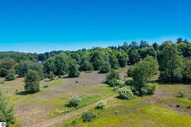00 South St, Benzonia, MI à vendre - Autre – Image 3 sur 3
