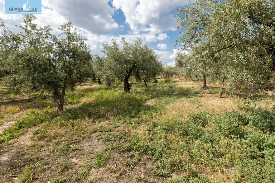 Pol, 1, Granada, Granada à vendre - Photo de l’immeuble – Image 3 sur 21