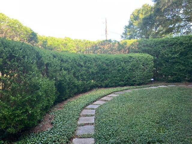 View Photo