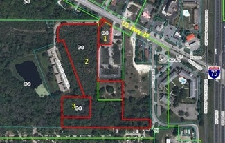 Plus de détails pour 4030 NW Blichton Rd, Ocala, FL - Terrain à vendre