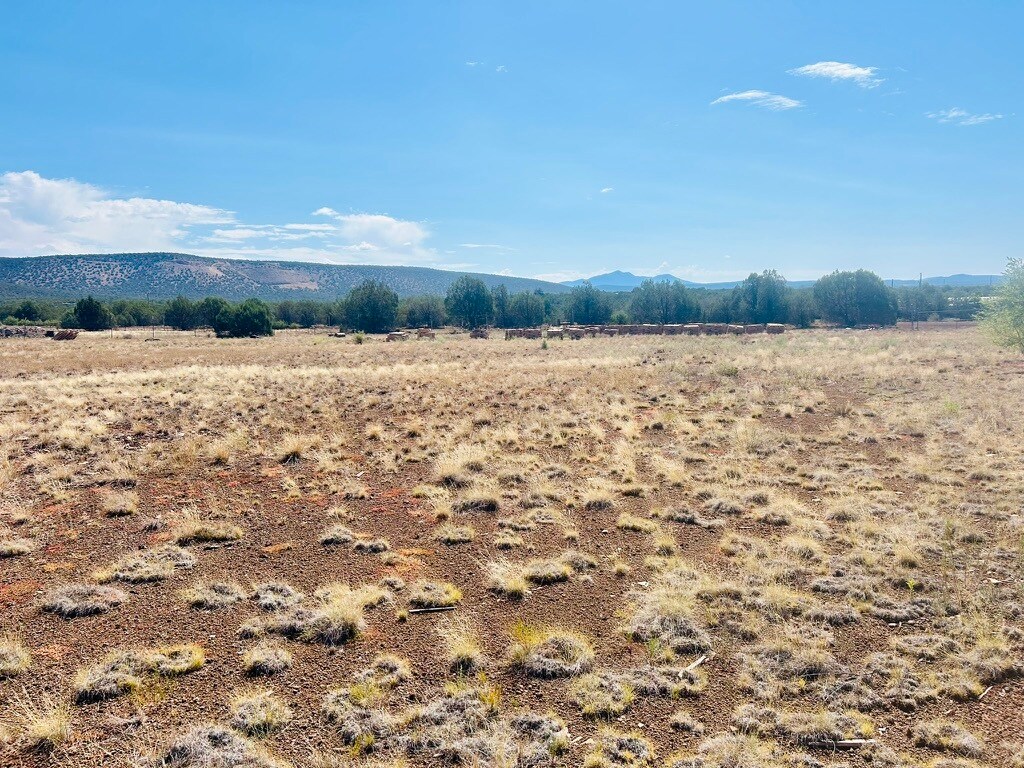 3607 Double A Ranch Road, Williams, AZ à vendre Autre– Image 1 sur 8