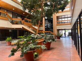 Plus de détails pour 2929 Coors Blvd NW, Albuquerque, NM - Bureau, Bureau/Médical à louer