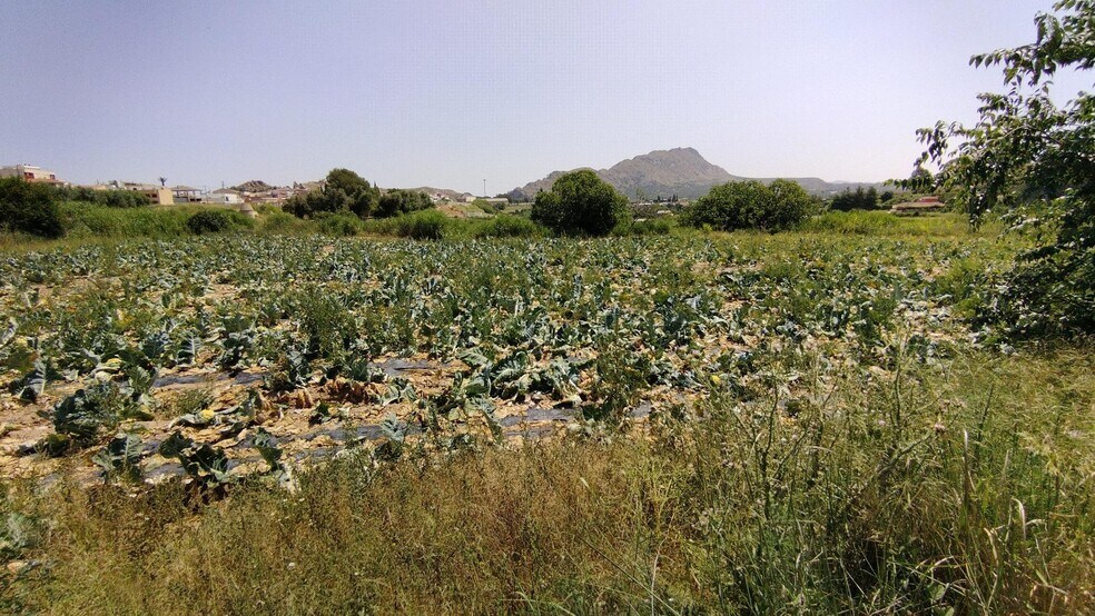 Terrain dans Calasparra, Murcia à vendre - Plan de site – Image 2 sur 7