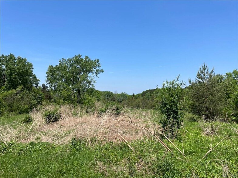 1630 Southwestern blvd, West Seneca, NY à vendre - Photo de l’immeuble – Image 3 sur 30