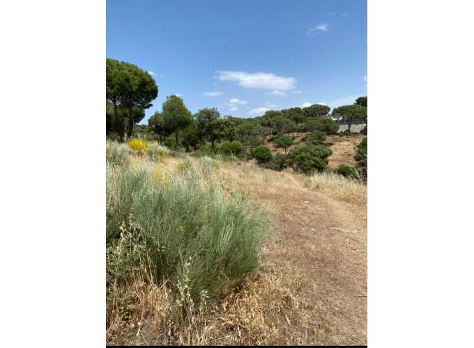 Terrain dans Navas del Rey, Madrid à vendre - Photo de l’immeuble – Image 3 sur 4