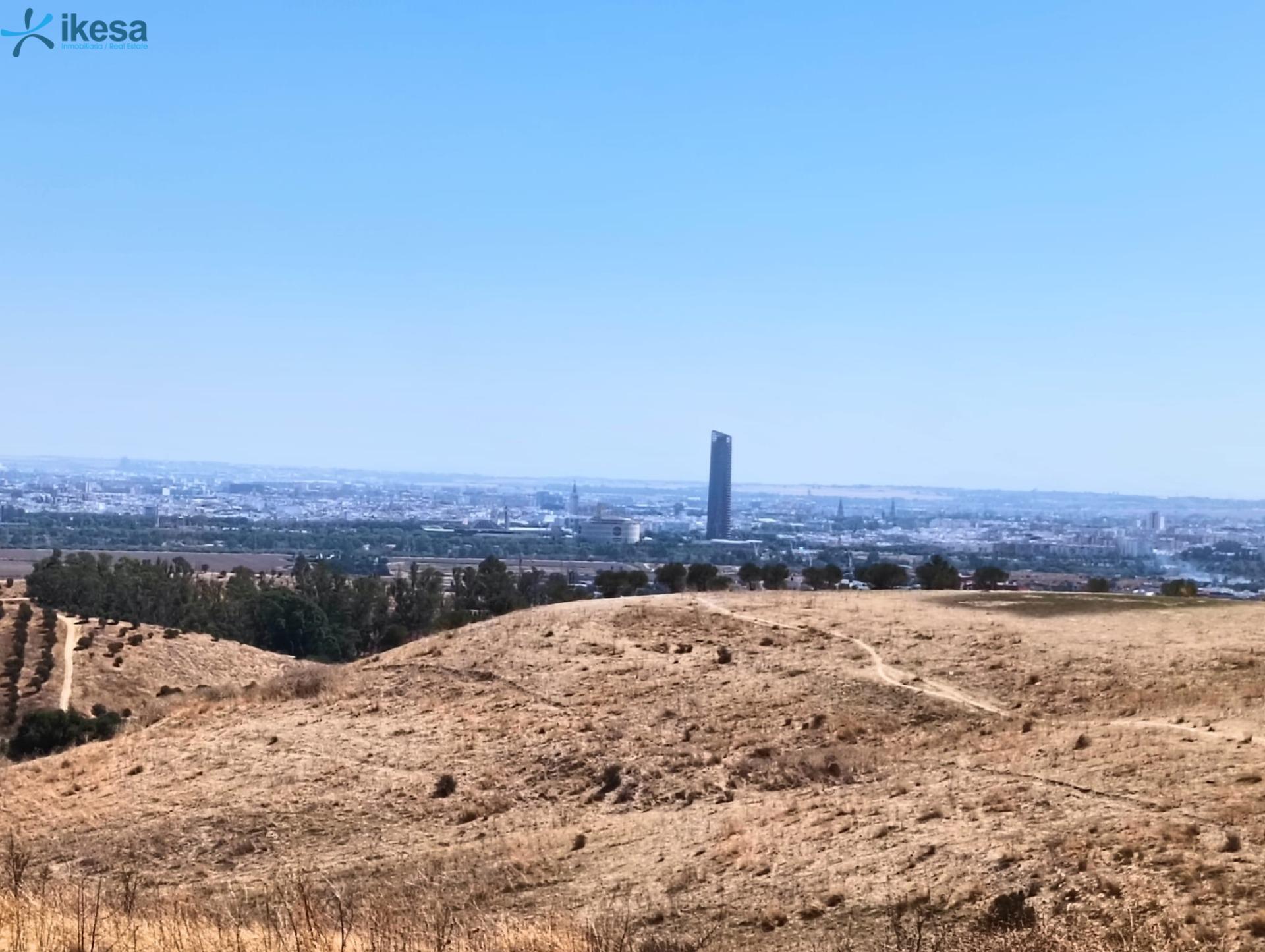 Terrain dans Castilleja de Guzmán, Sevilla à vendre Aérien– Image 1 sur 7