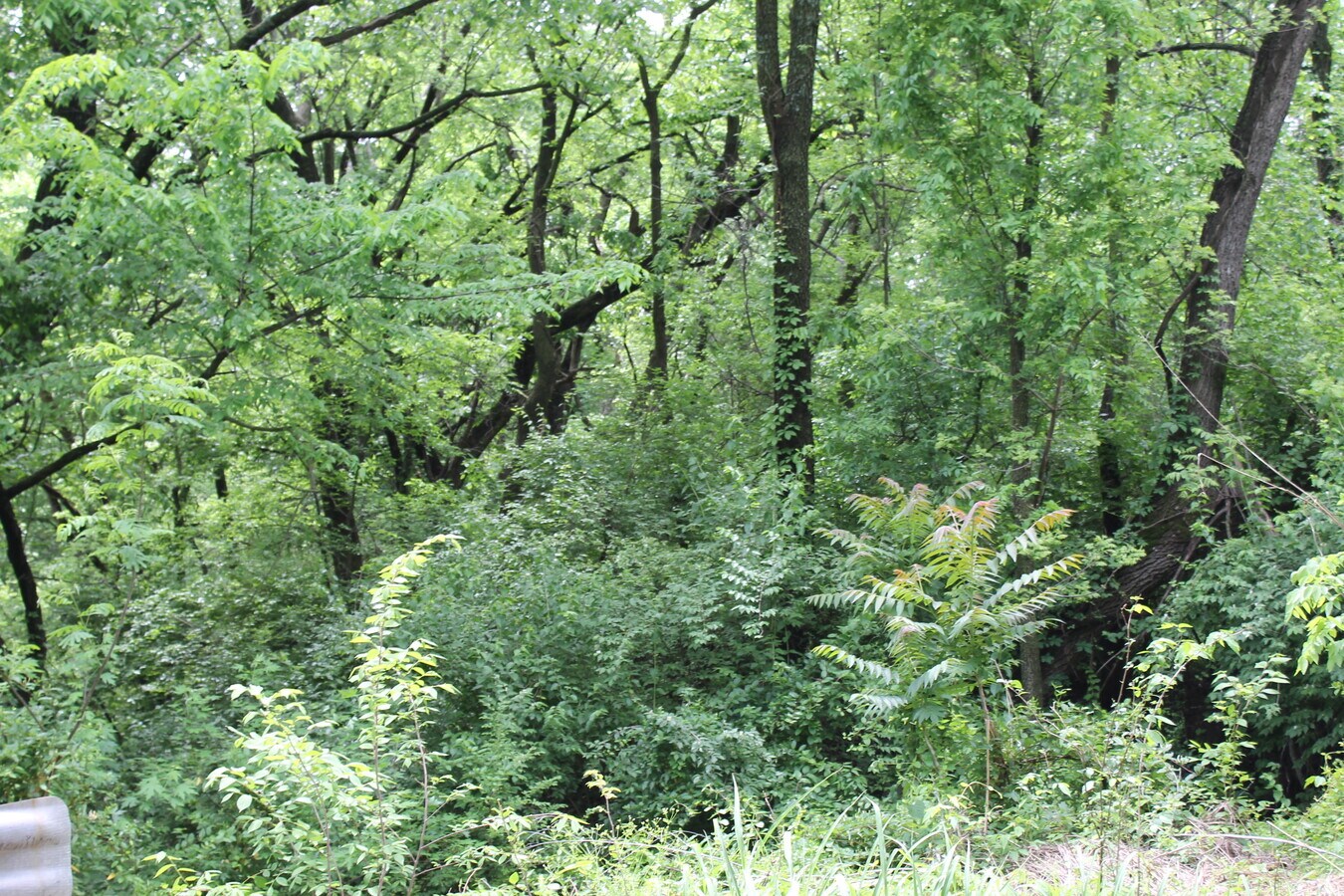 View Photo