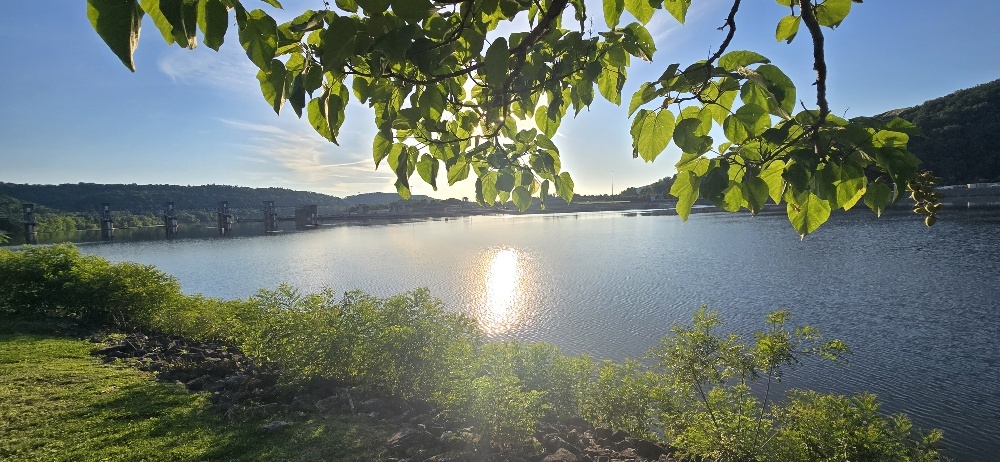 Photo principale