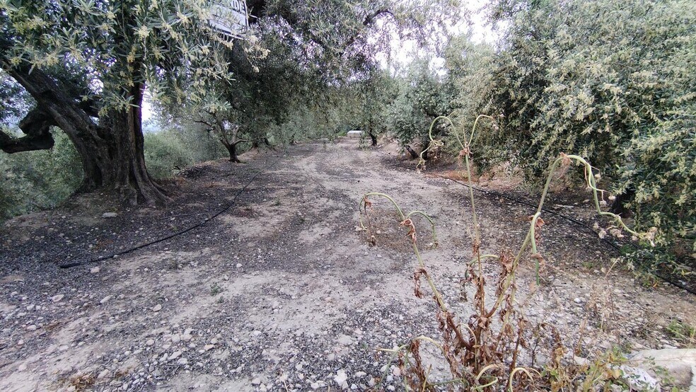 Terrain dans Calasparra, Murcia à vendre - Photo de l’immeuble – Image 2 sur 9