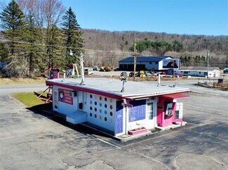 Plus de détails pour 65 State Route 96 Rt, Owego, NY - Local commercial à vendre