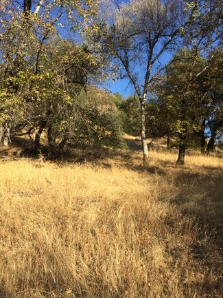 Plus de détails pour Ranch Camp Road, Somerset, CA - Terrain à vendre