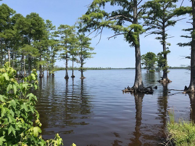 View Photo