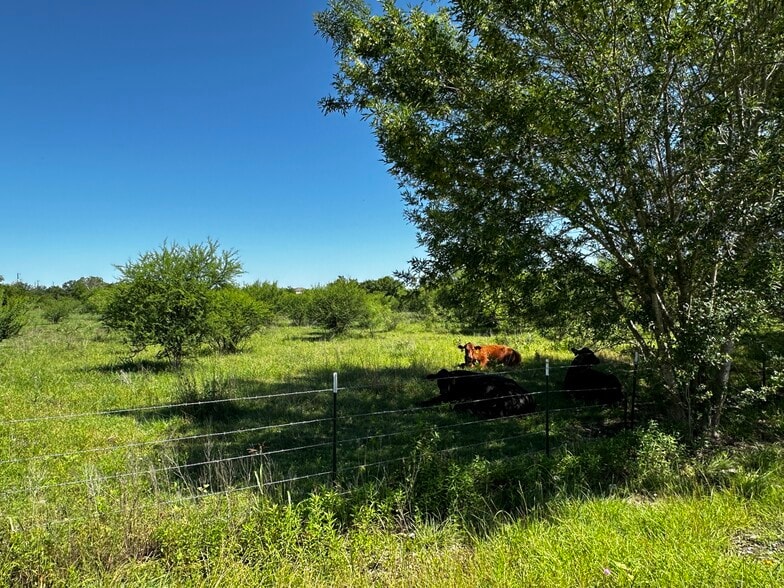 TBD Scott Street, Kyle, TX à vendre - Autre – Image 2 sur 28
