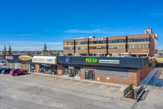 Plus de détails pour 8989 Macleod Trl S, Calgary, AB - Bureau, Local commercial à louer