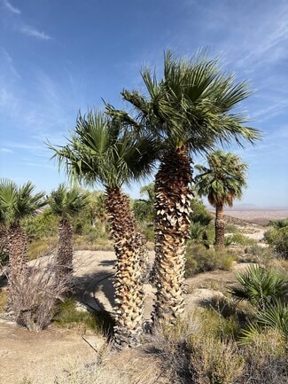 Plus de détails pour 160 +/- Acres Juanita Springs Ranch, Bunkerville, NV - Terrain à vendre