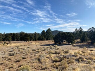 Plus de détails pour 0 Pine Ln, Big Bear City, CA - Terrain à vendre