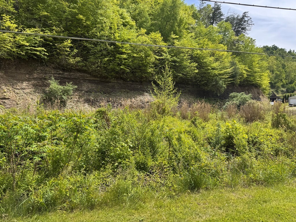 KY Rte 40 and Rte 580 Oil Springs, Oil Springs, KY à vendre Autre– Image 1 sur 8