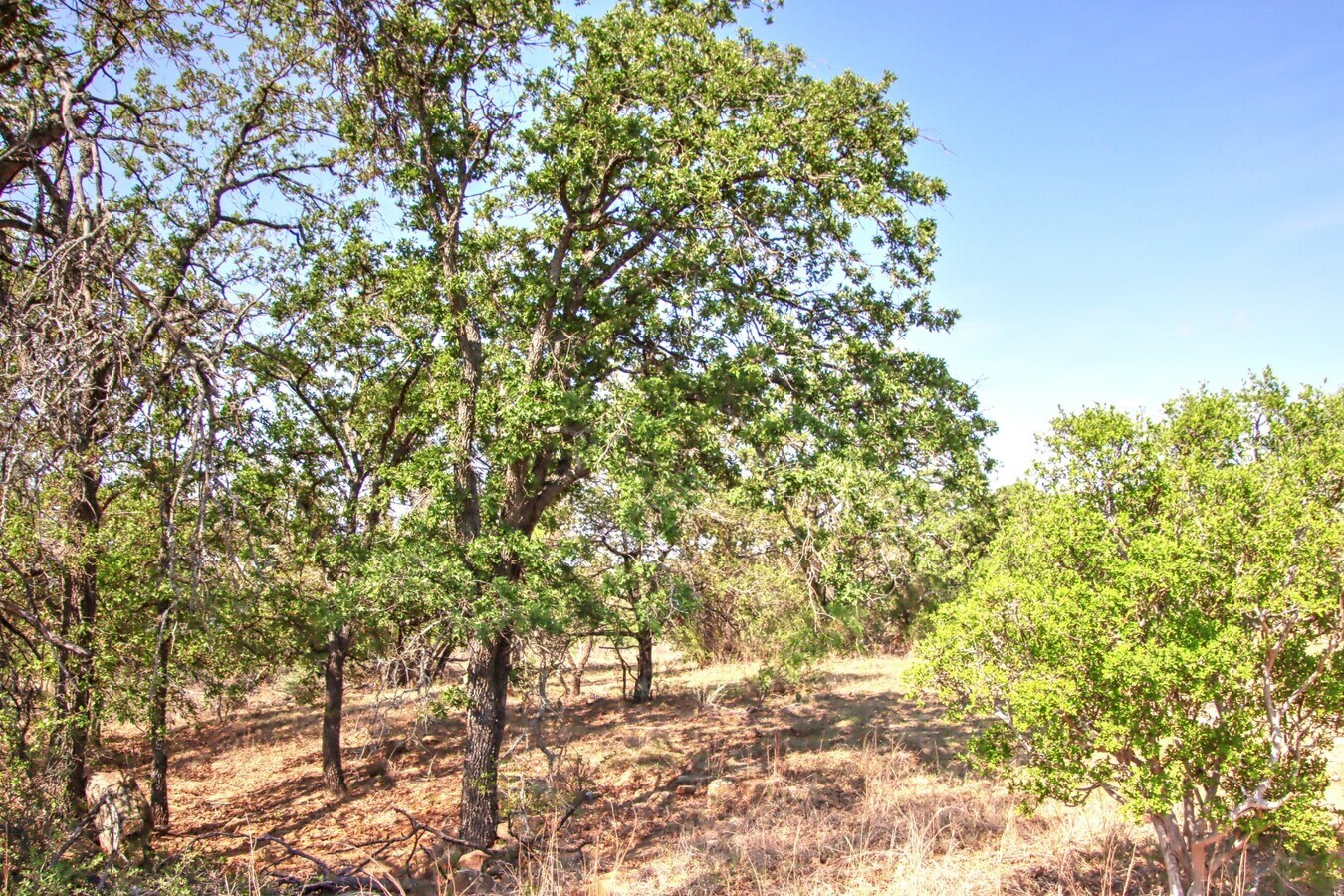 View Photo