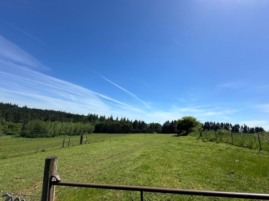 View Photo