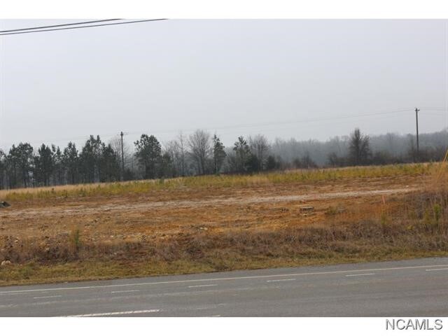 0 CR 715, Cullman, AL à vendre Autre– Image 1 sur 2