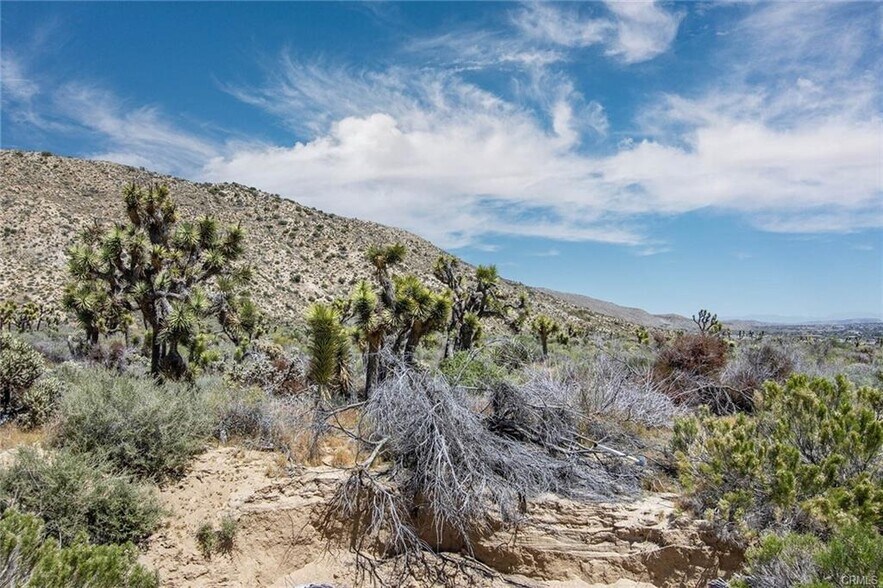 54129 Pinon Dr, Yucca Valley, CA à vendre - Photo de l’immeuble – Image 2 sur 8