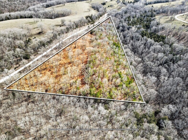 000 Regal Heights Ln, Galena, MO à vendre - Photo principale – Image 1 sur 1