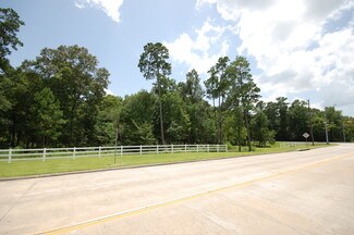 Plus de détails pour Fm 1314, Conroe, TX - Terrain à vendre